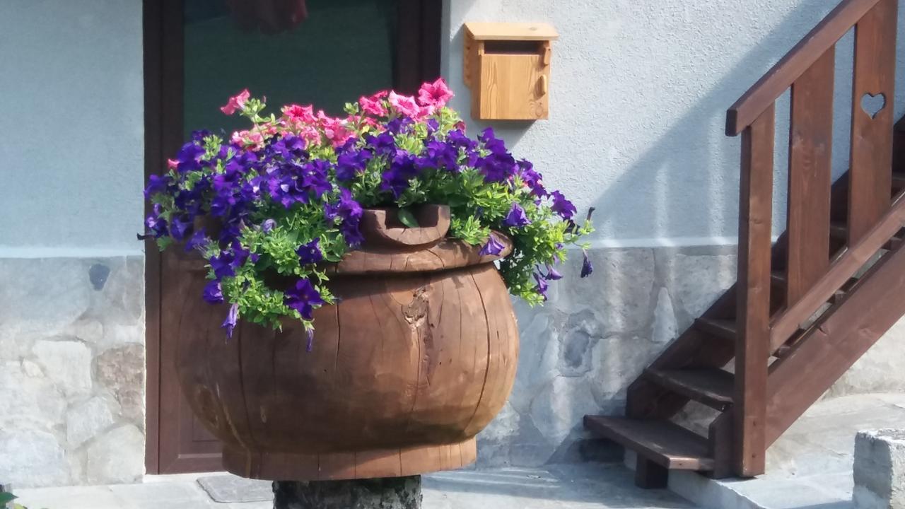 Maison Des Abeilles Vda Gressan N 0028 Eksteriør bilde